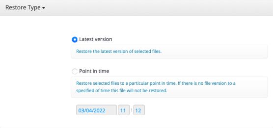 Flexible Restore Options