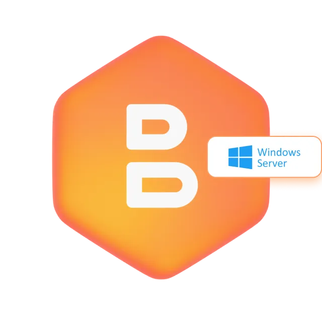 Windows Server Backup Software