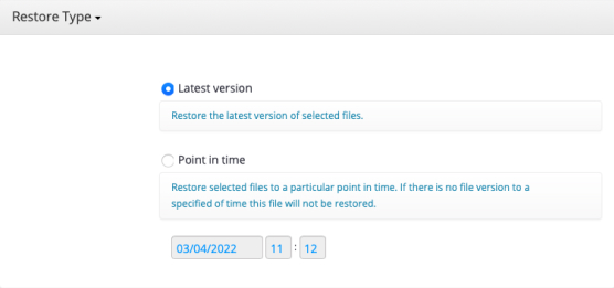 Flexible Restore Options