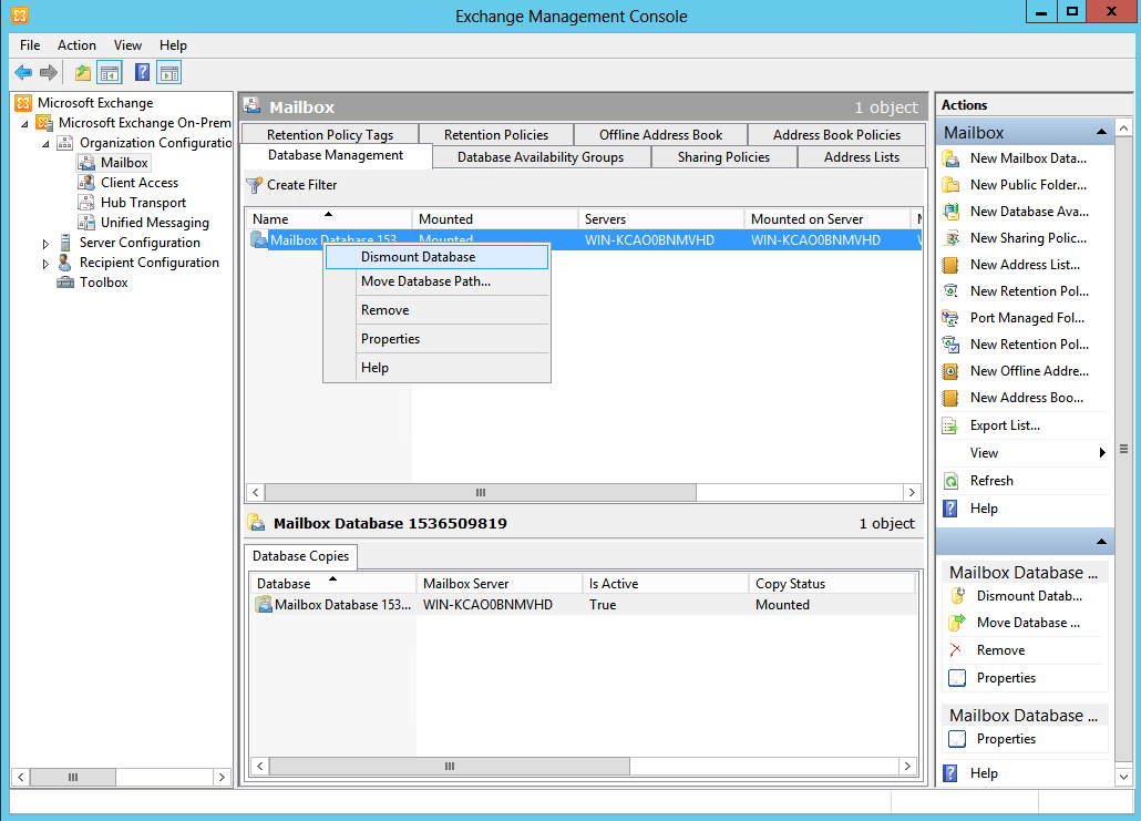 Dismounting database in Exchange Management Console before Exchange log files cleanup
