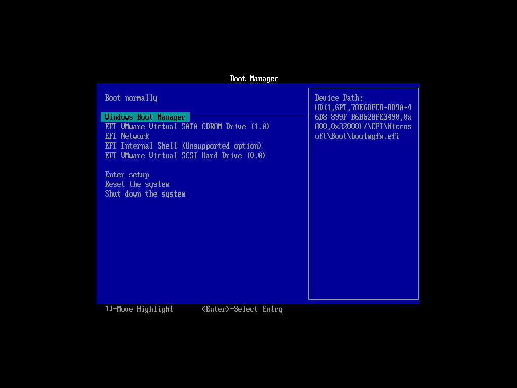 An Example from the VMware Virtual Machine Firmware
