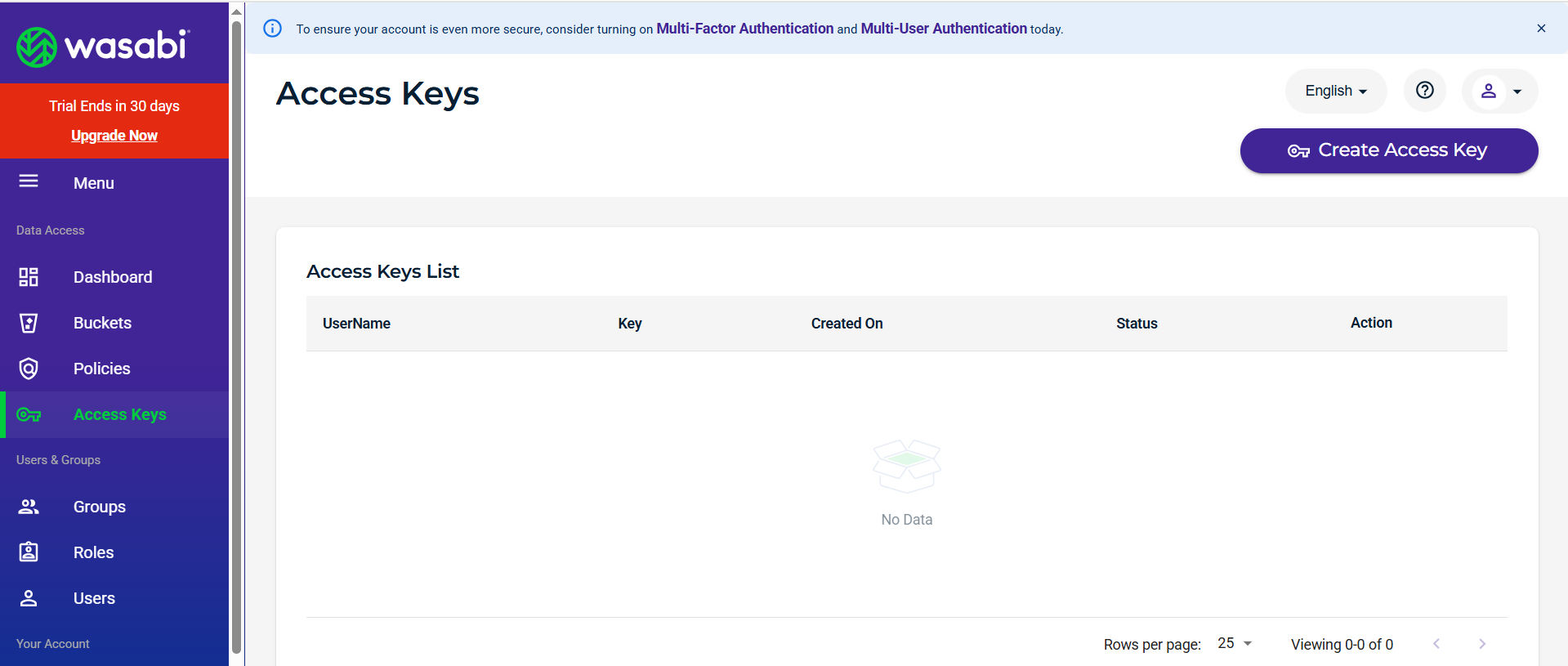 Wasabi Hot Cloud Storage - Create Access Key