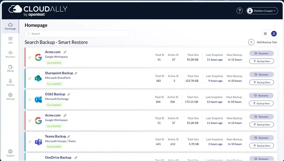cloudally-backup-for-google-workspace-interface