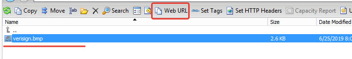 web url