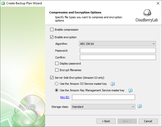 Compression and Encryption Options step