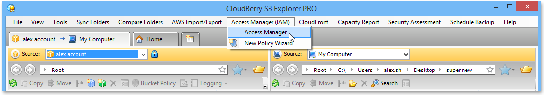 Access Manager