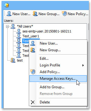 Manage Access Keys