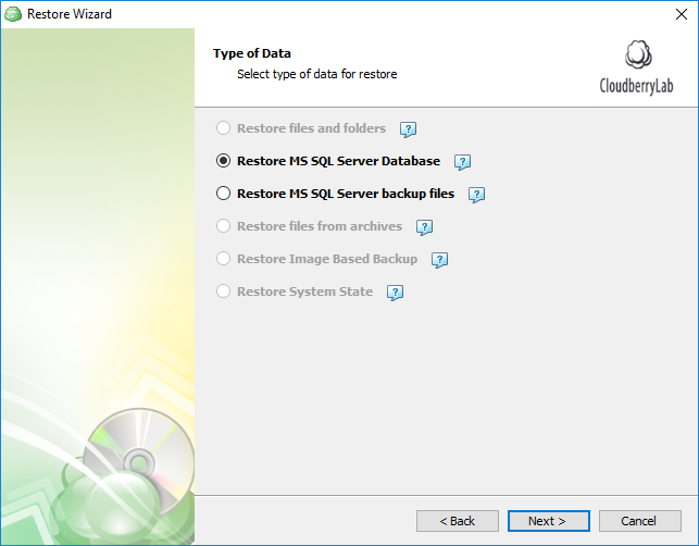 Selecting data type for SQL Server restore