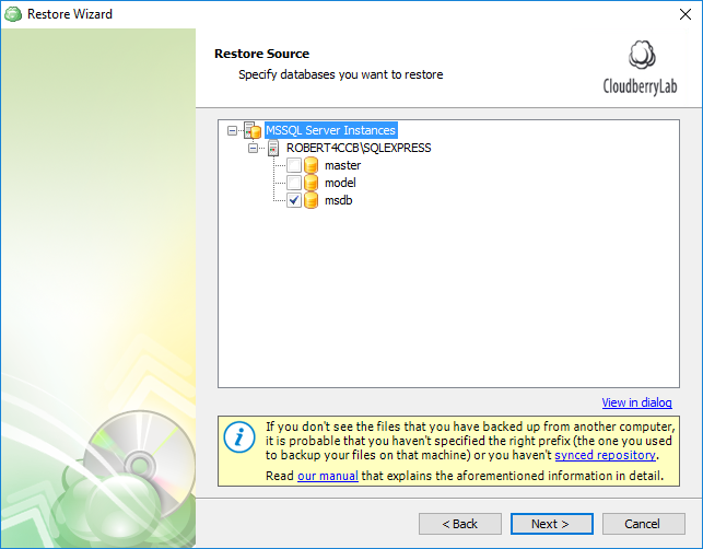 Selecting SQL Server databases for restore