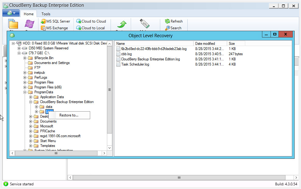 how restore file bvckup