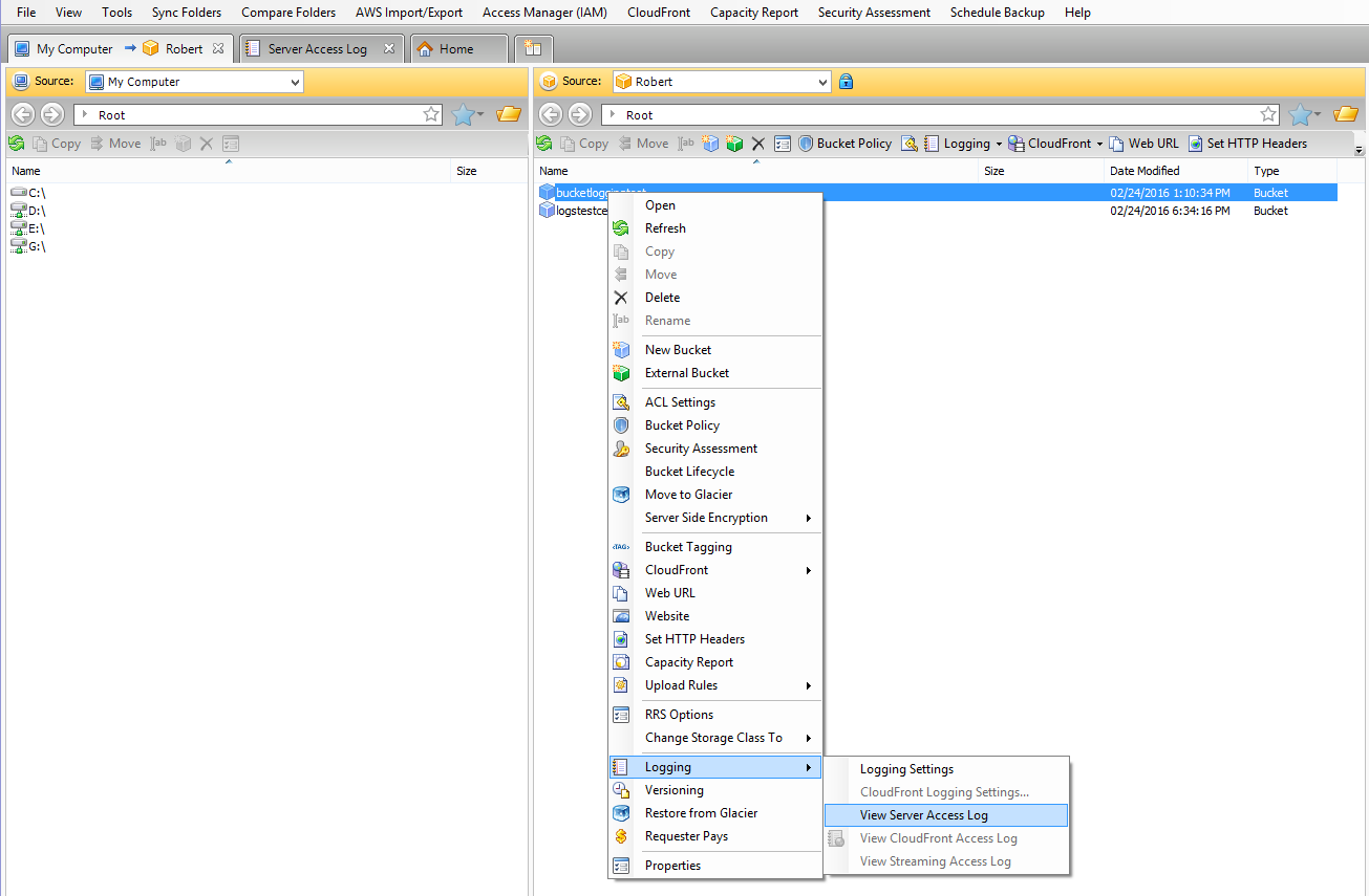 Viewing Server Access Logs - CloudBerry Explorer Software Screenshot