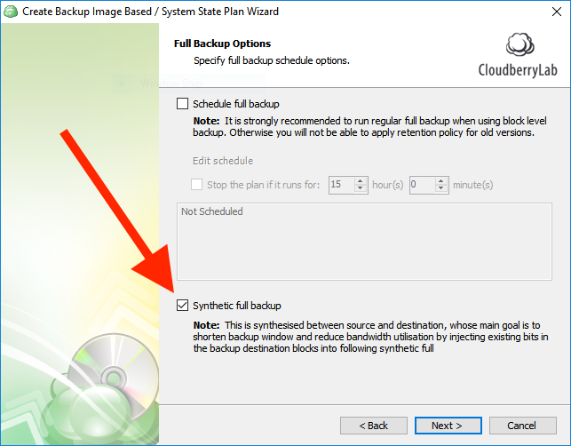 Enabling Synthetic full backup option