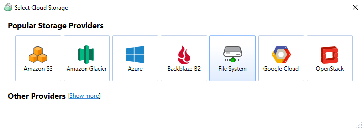File system option