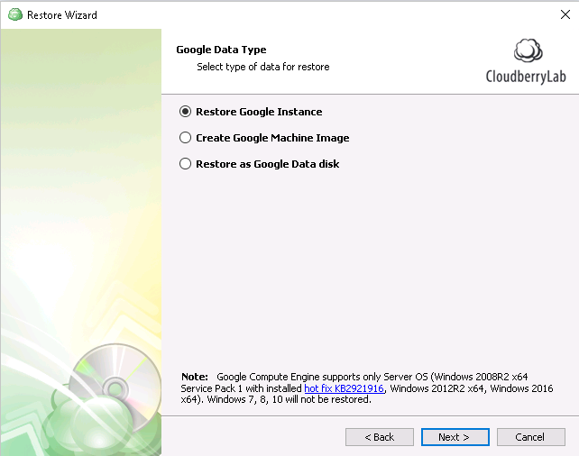 CloudBerry Backup - Select type of data to restore (choose Google Instance) and click Next
