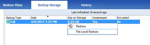 File Level Restore
