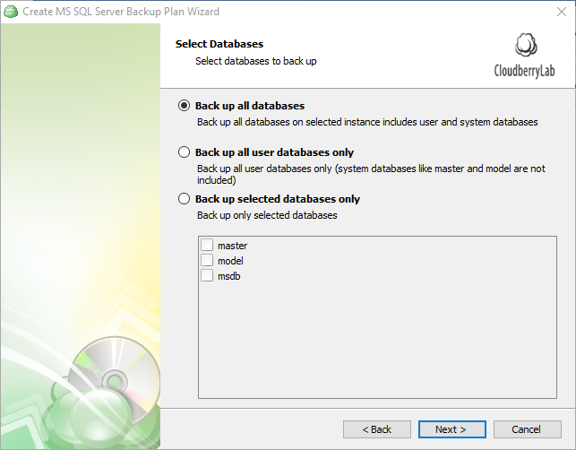 Select SQL Server databases for backup