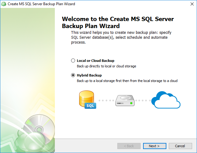 Selecting database backup type for SQL Server database backup