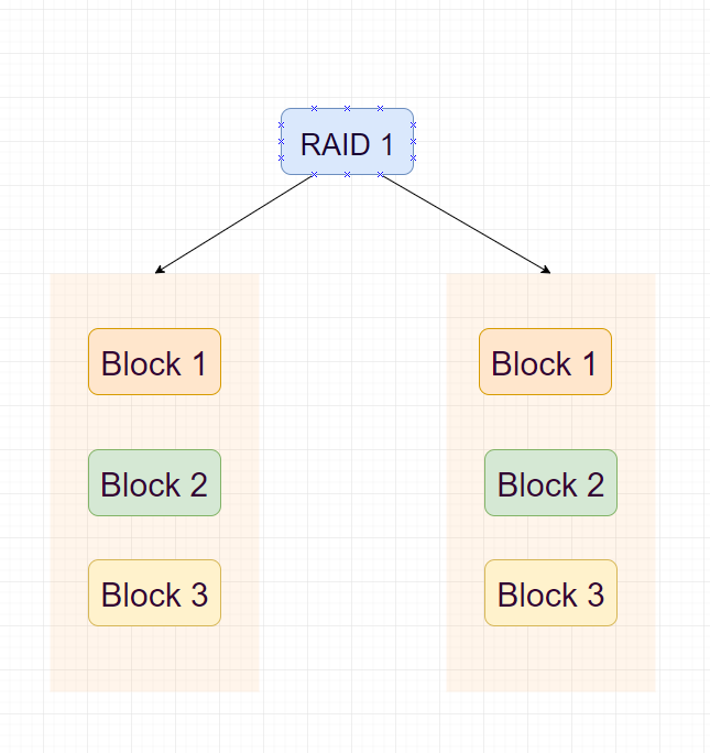 RAID 1 (data mirroring)