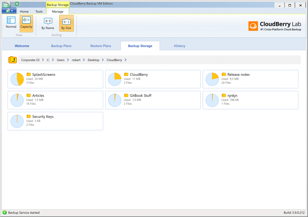 Backup Storage Capacity Report