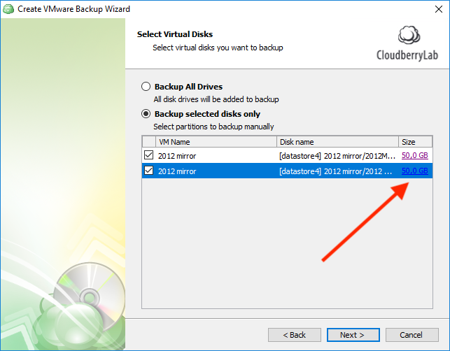selecting virtual disks in the backup wizard