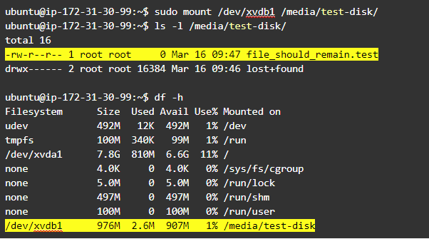 Resize Linux partition: mount the resized volume and check that the data is still there