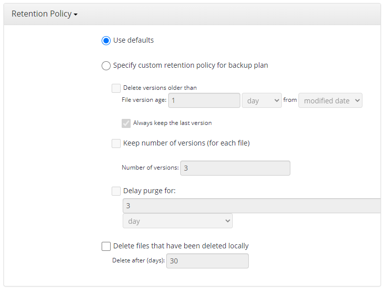 MSP360 Managed Backup Service: Custom Settings: File-Level