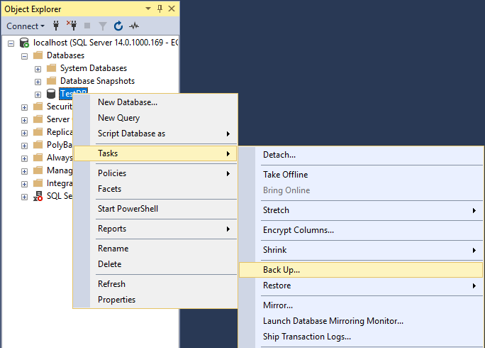 SQL Management Studio 2008 Backup