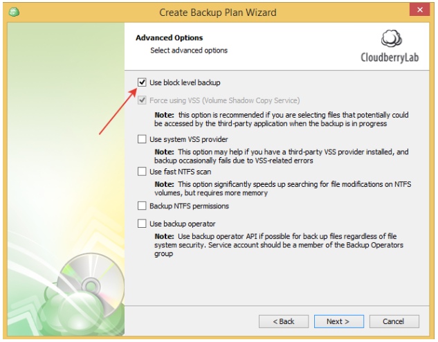 Multiple Scheduled Backups with CloudBerry Backup. Advanced Options Step