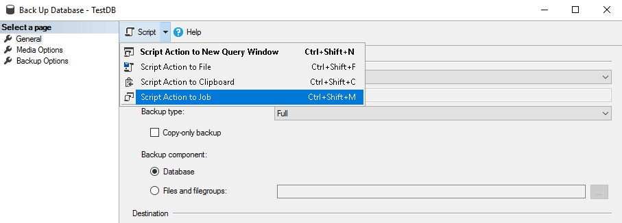 Click Script Action to Job in the Script drop-down menu in order to automatically generate the script for SQL Server Agent