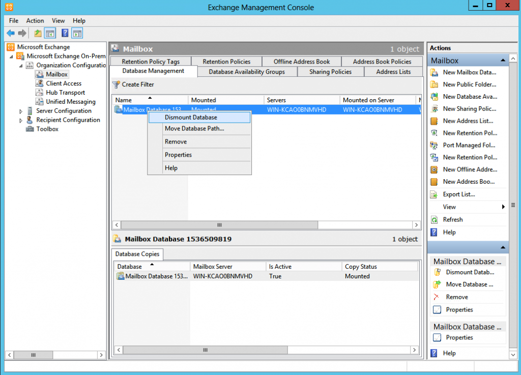 Dismounting database in Exchange Management Console before Exchange log files cleanup 