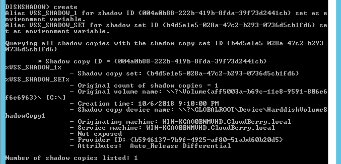 Database backup simulation in CMD console