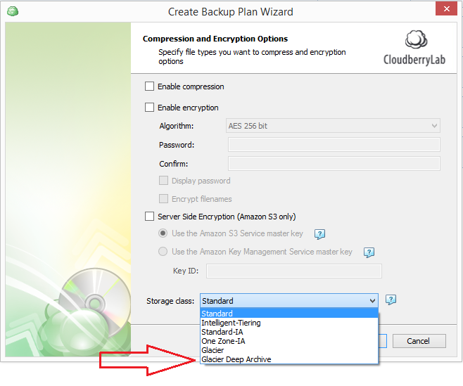 Compression and Encryption Options step