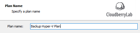 Hyper-V Backup: Plan Naming
