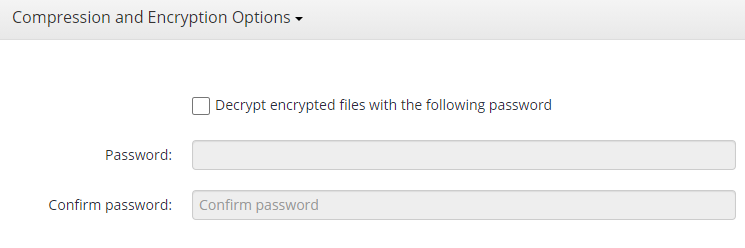 Entering the Password in MSP360 Managed Backup Sevice