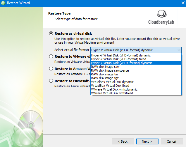 Virtual Disks Recovery Option in MSP360 Managed Backup Service Agent