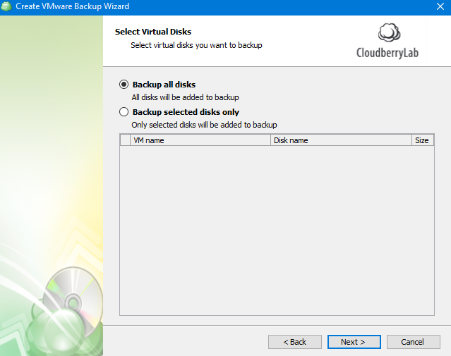 Selecting Disks in MSP360 Managed Backup Web Agent