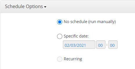 Schedule Options in MSP360 Managed Backup Web Console