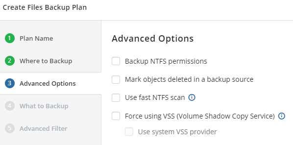 MSP360 Managed Backup: Advanced Options