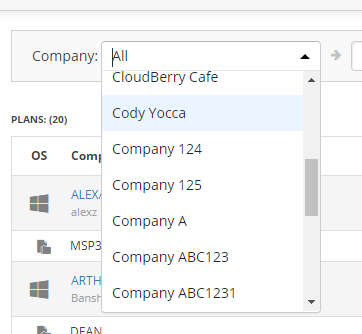 Choosing a Company to Check in MSP360 Managed Backup