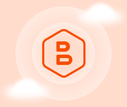 CloudBerry Backup icon