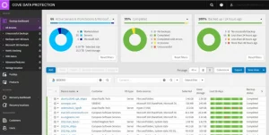 Best Cloud to cloud Backup solutions, image from cove backup m365 interface