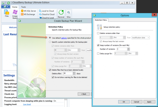 cloudberry backup incremental files separately