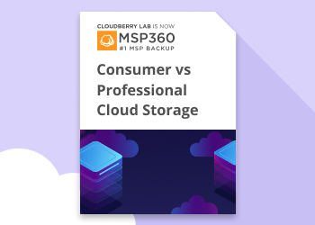 Consumer vs Professional Cloud Storage