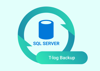 SQL Server Transaction Log Backup Best Practices