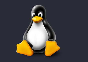 How Important Are Linux Skills for MSPs Today?