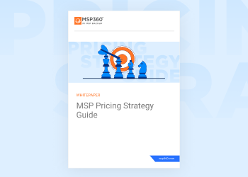 MSP Pricing Strategy Guide