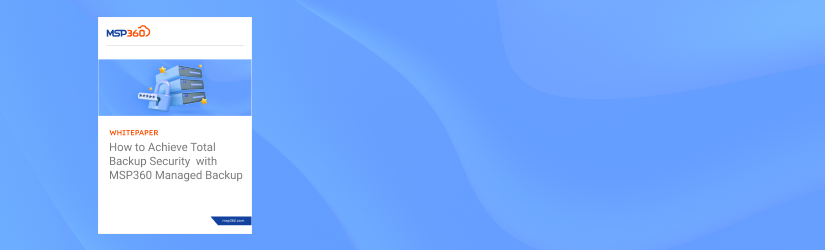 promo_blog (57) | MSP360 Blog