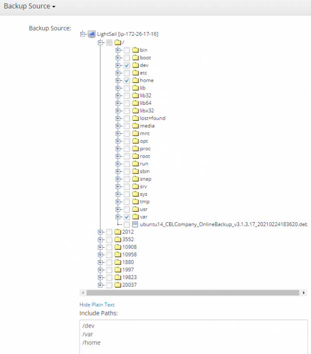 A Guide on Backing Up Amazon Lightsail Instances