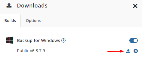 MSP360 Managed Backup: Downloads with Branding