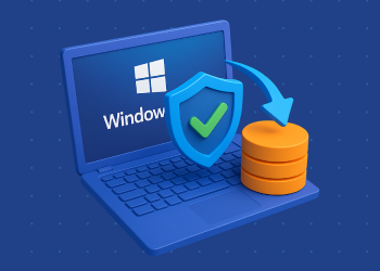 Windows 11 backup